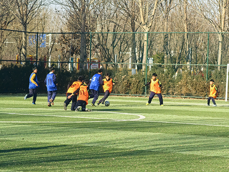 (图为新区第一小学与朱建坨小学比赛进行时 北戴河新区教育局供图)
