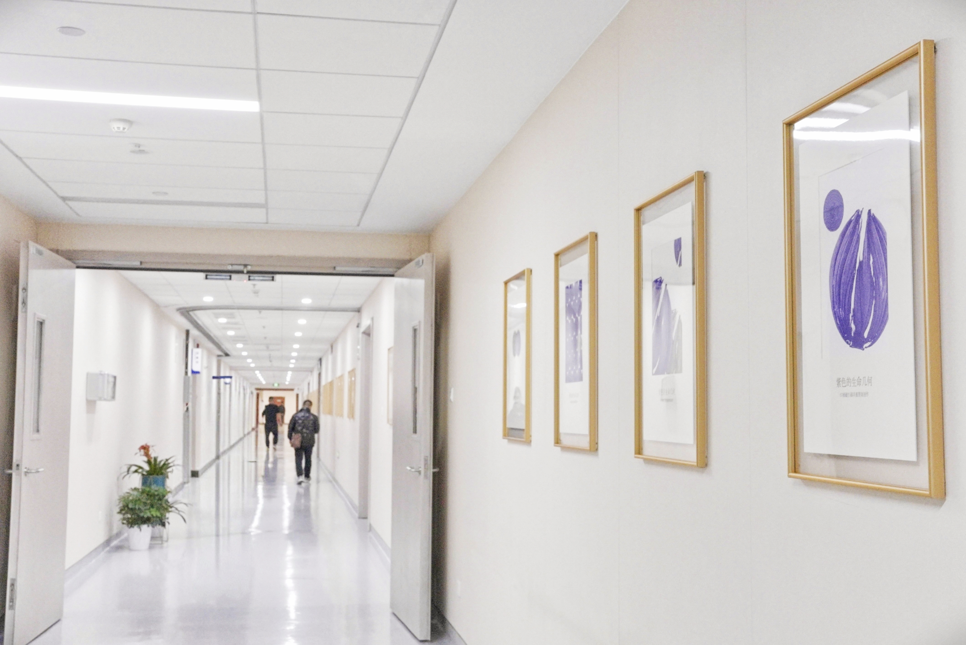 医患及家属穿过医学&艺术文化长廊