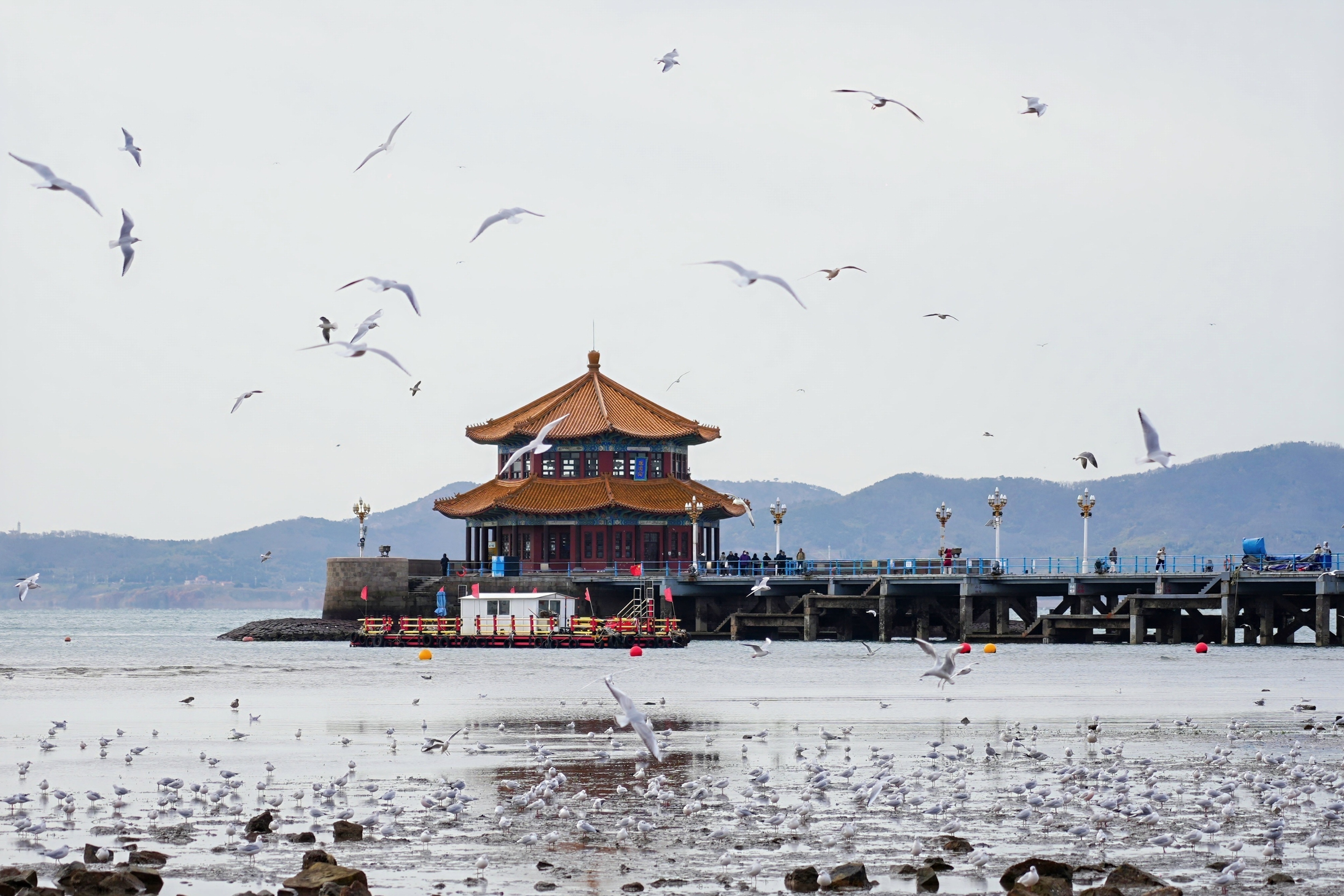 ���ŷɵ�����Ÿ���������쵺�Ƕ������ý�����