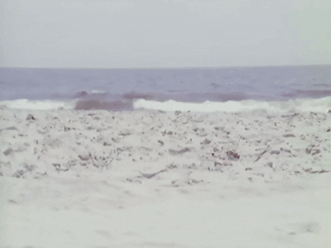 ▲图片来源：Giphy