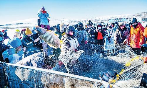 在沽源县库伦淖尔旅游度假区，渔民们进行冰上捕鱼，吸引了大批游客。田明摄