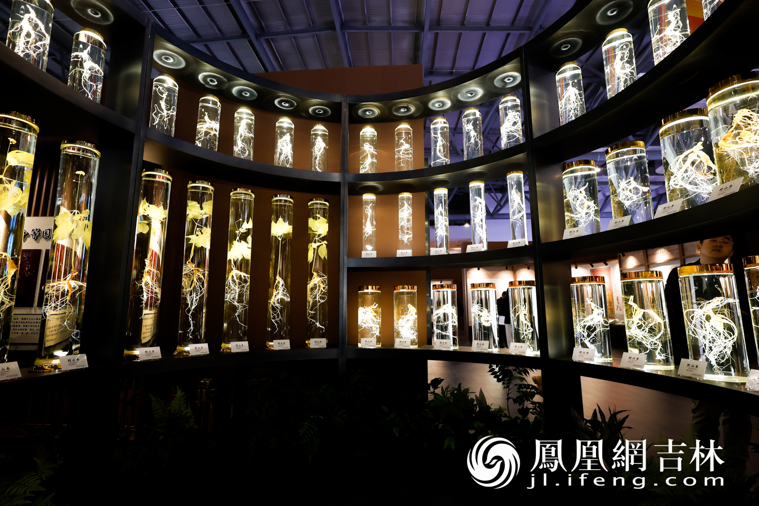 534家企业、7个国际展团……今天,全球医健目光聚焦长春!