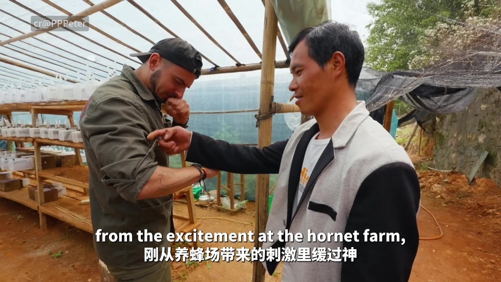 【“中国游记”第二季⑨】勇敢的人才配享用的鲜甜美味！跟着美国博主在云南开“蜂巢盲盒”