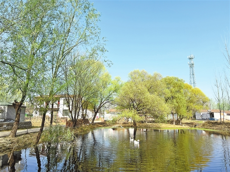 范县白衣阁镇临黄集南街村一隅。记者 赵大明 摄