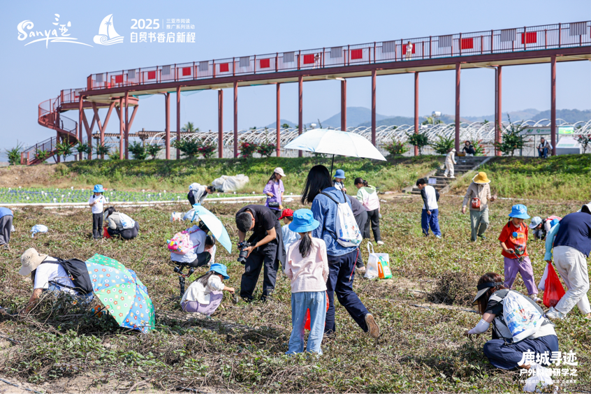 书香润南繁 童趣探“芯”田 三亚亲子研学解锁自贸港智慧农业密码