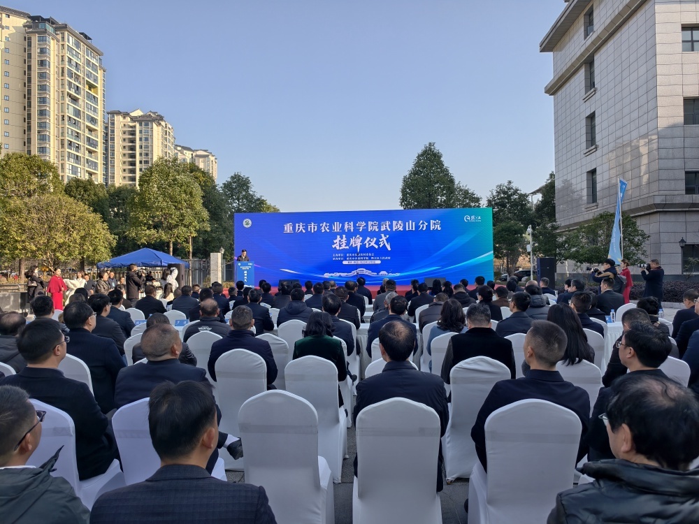 ▲重庆市农业科学院武陵山分院挂牌仪式现场。记者 栗园园 摄