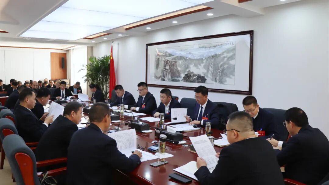 梁少卿参加分团讨论