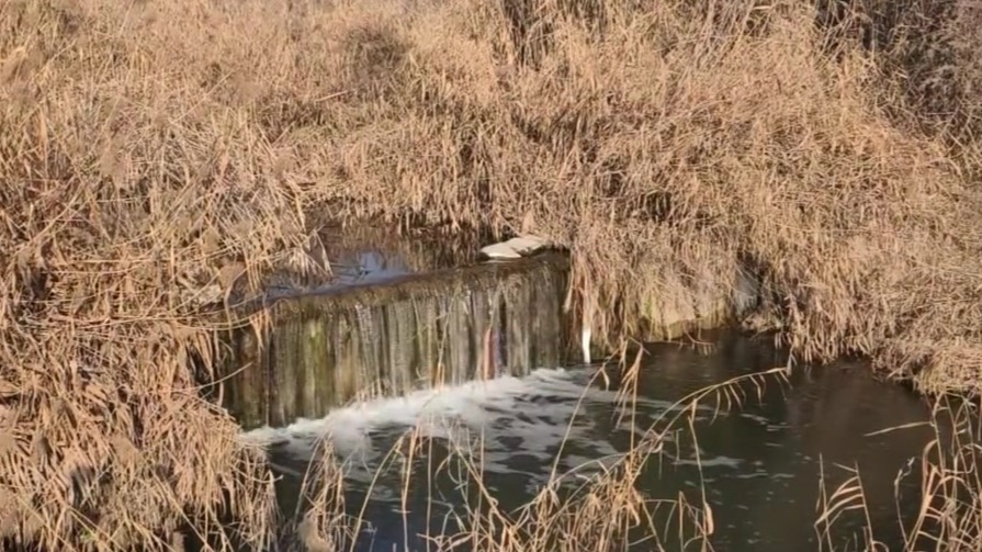探访甘肃兰州秦王川国家湿地公园　专家：因地制宜是生态修复的关键