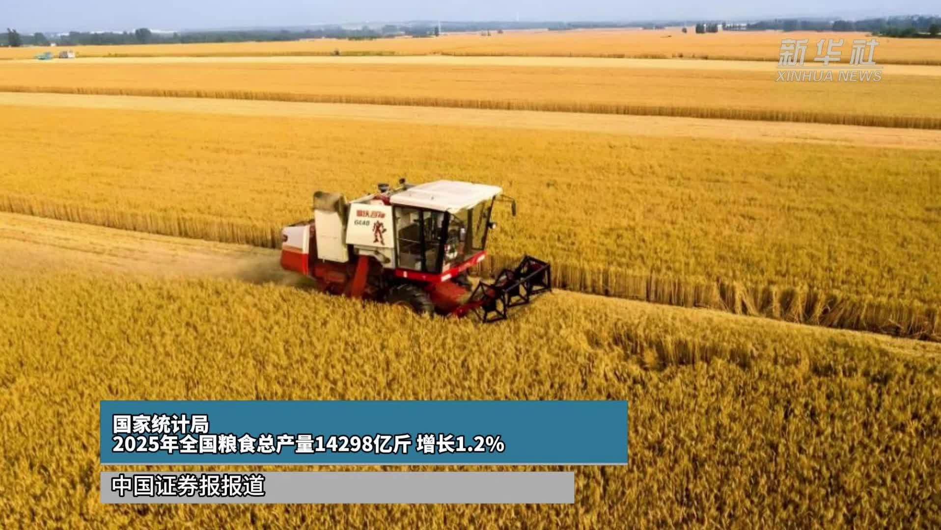 国家统计局：2025年全国粮食总产量14298亿斤 增长1.2%