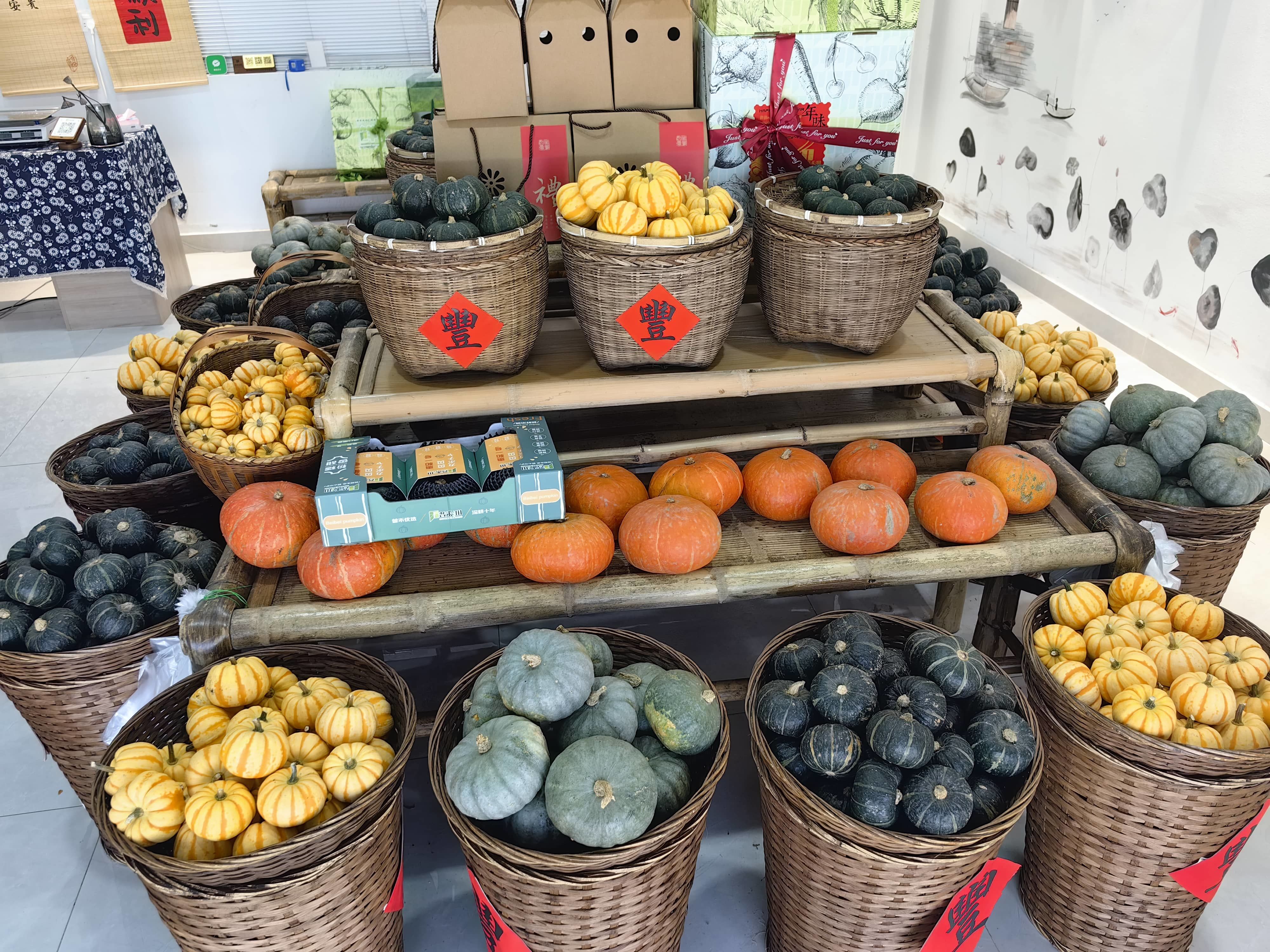 常熟梅李镇：千年古镇的“梅”好蝶变