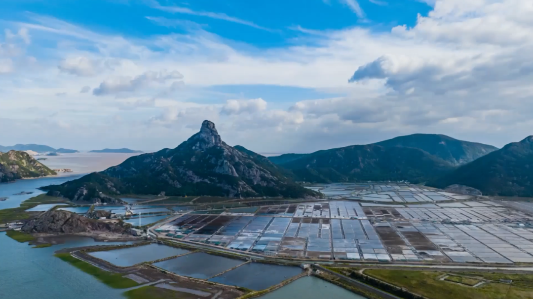 “伤口”变风景！宁波这个海岛生态修复放“大招”