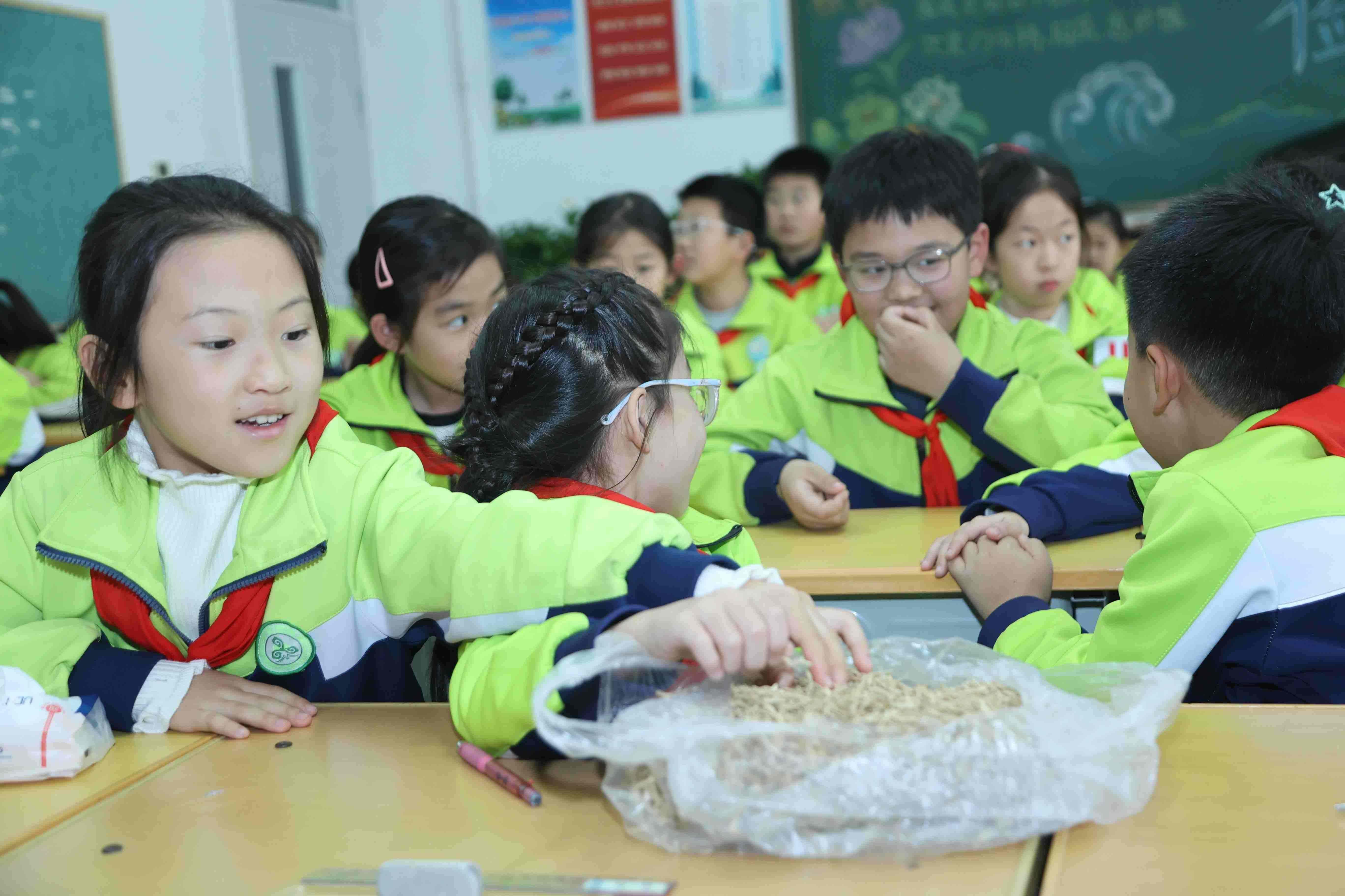 【组图】河北沧州：中医药文化进校园，趣味实践点亮传承之光