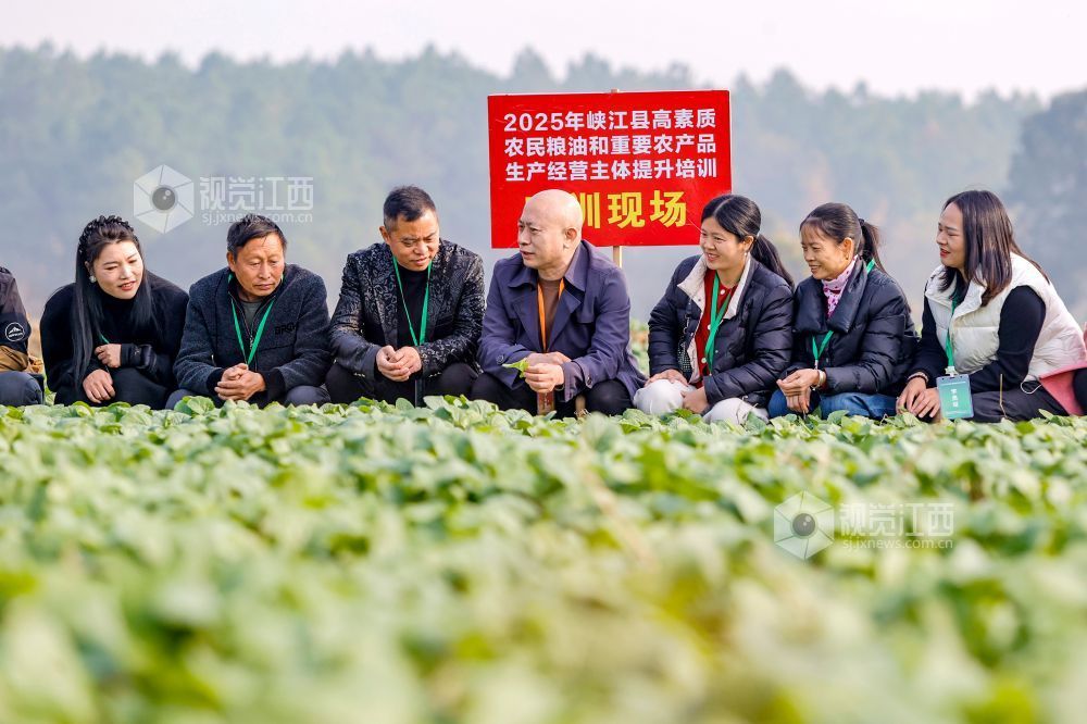 2025年12月9日，在江西省吉安市峡江县高素质农民实训基地，学员在学习双低油菜种植技术。