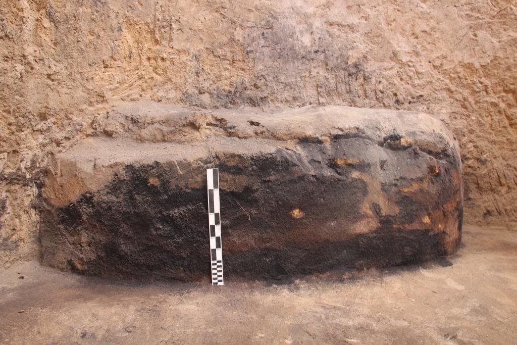 這是羅家河遺址發現的碳化物遺存。(咸陽市文物考古研究所供圖)