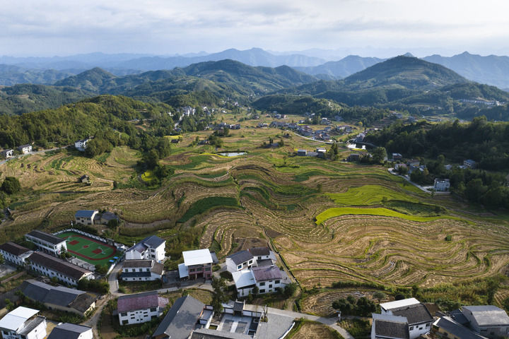 陜西省漢陰縣鳳堰梯田景色(2024年9月5日攝,無人機照片)。新華社記者邵瑞攝