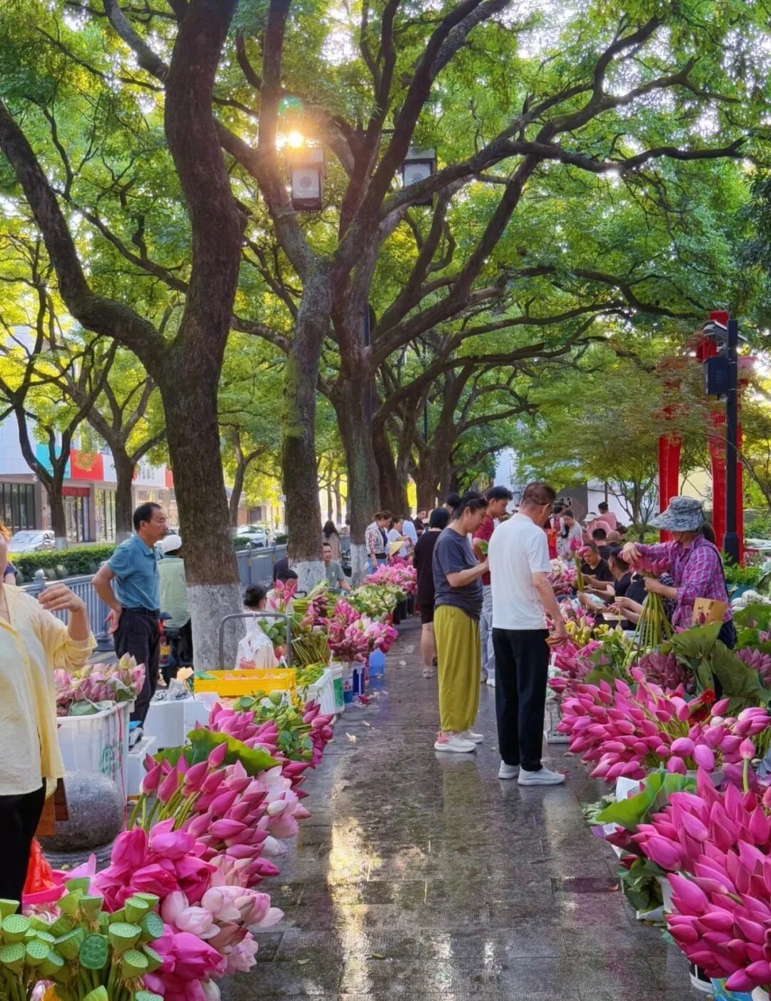 图片来源:文明苏州