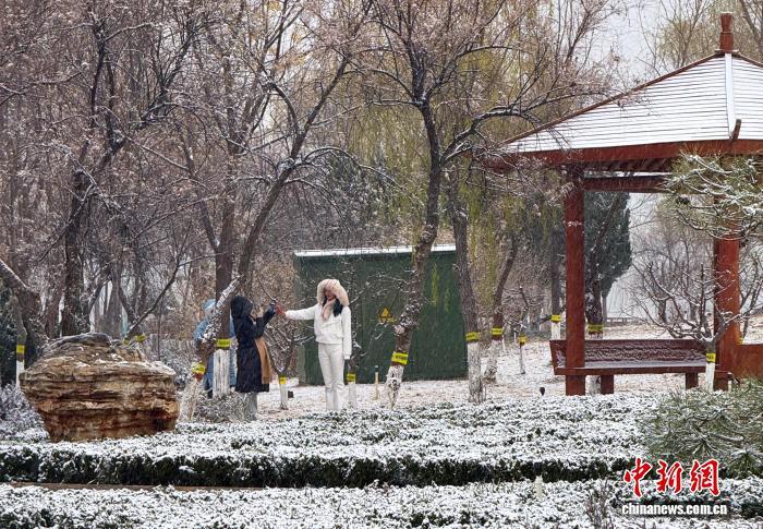 “京津冀最美湿地”衡水湖:银装素裹候鸟嬉雪