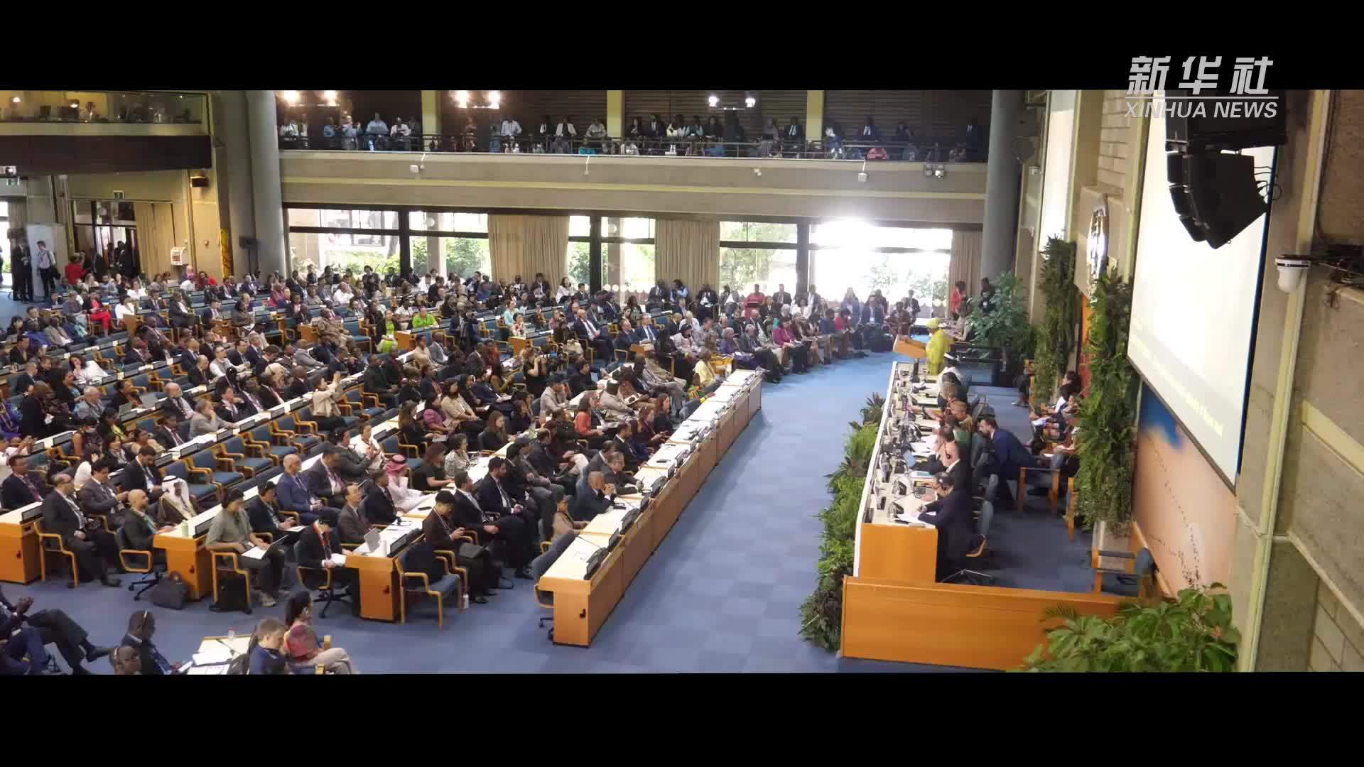 权威访谈｜刘世荣：提高森林稳定性和可持续性 发挥固碳功能