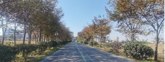 盐城市亭湖区南洋镇：人居环境整治让乡村增“颜”提“质”