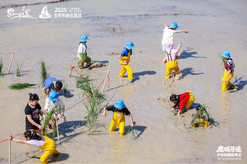 书香润南繁 童趣探“芯”田 三亚亲子研学解锁自贸港智慧农业密码