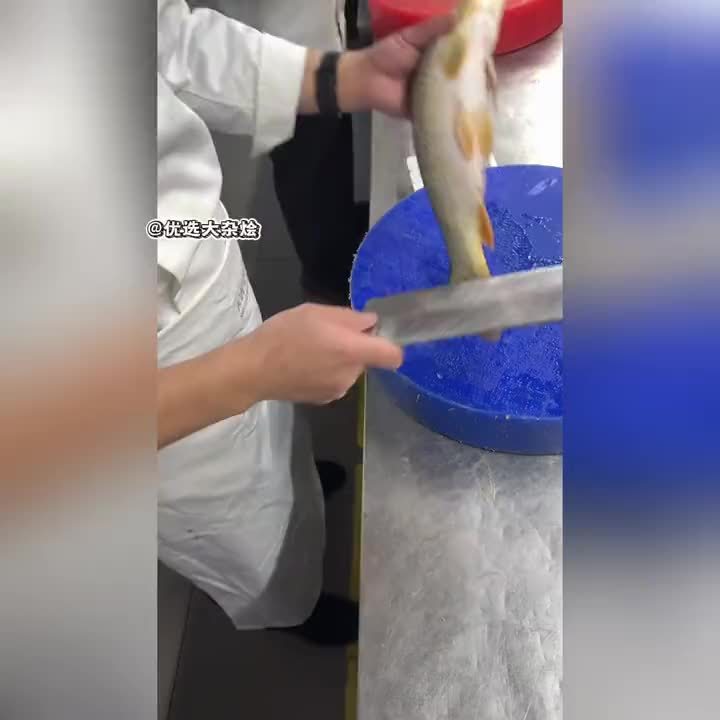 鱼：这家伙对我身体了解的程度丝毫不亚于我