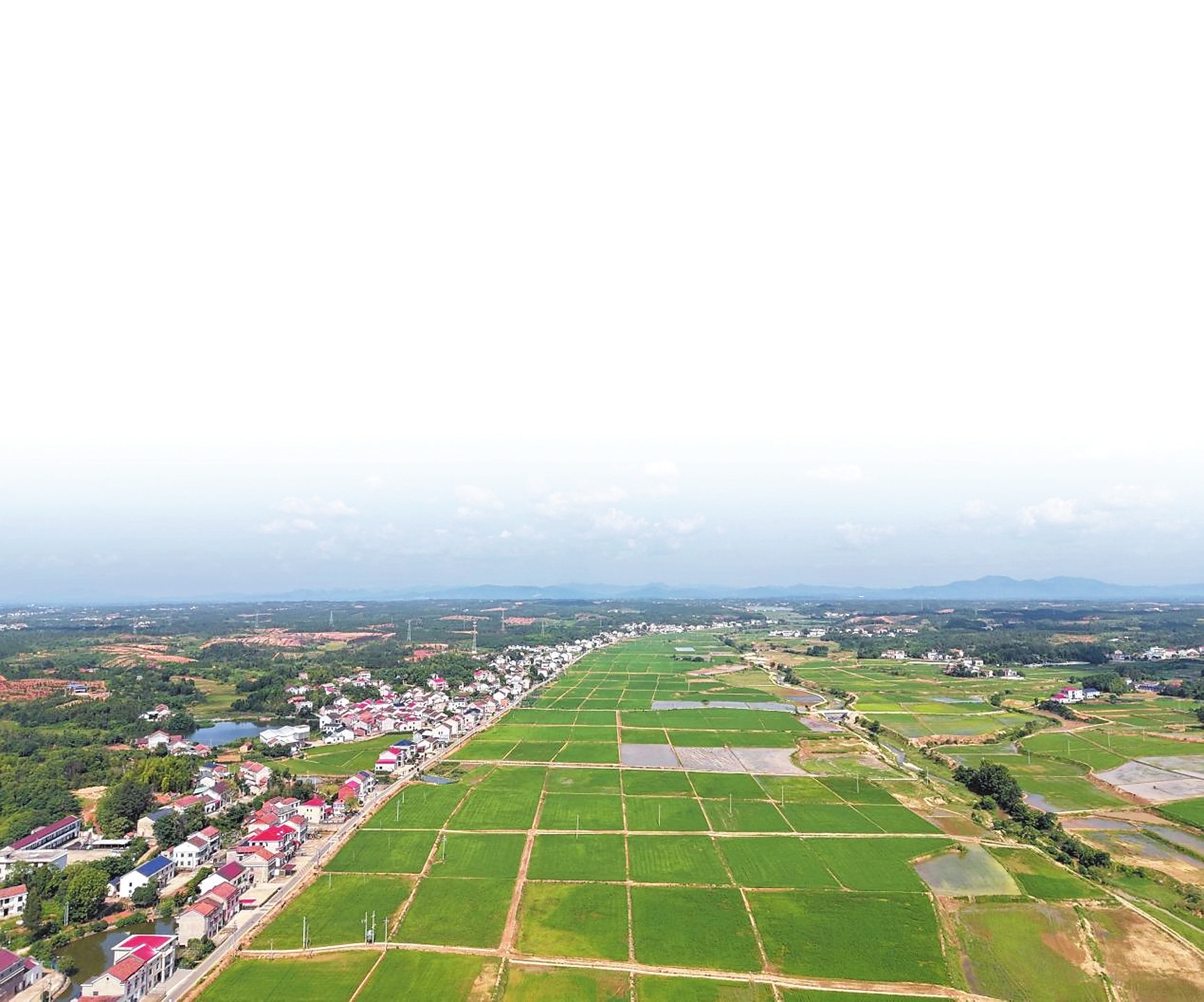 龙凤村高标准农田。