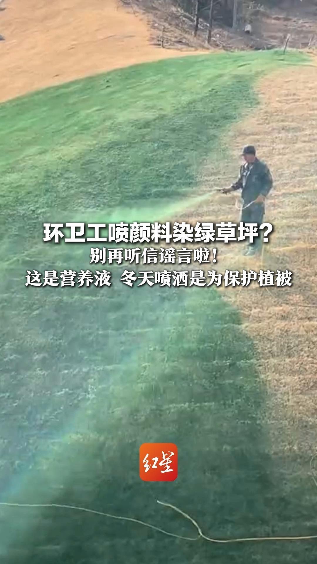 环卫工喷颜料染绿草坪？别再听信谣言啦！这是营养液，冬天喷洒是为保护植被