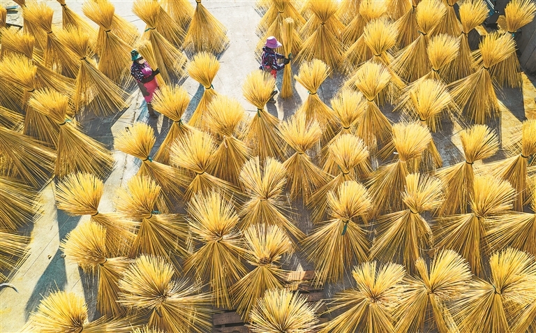 资溪县：晾晒竹篾（图）