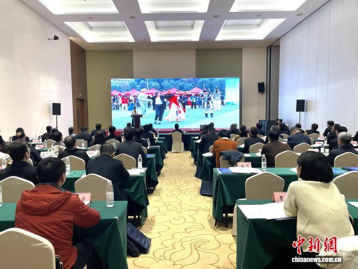 湖北高校代表分享统战工作创新经验。　马芙蓉 摄