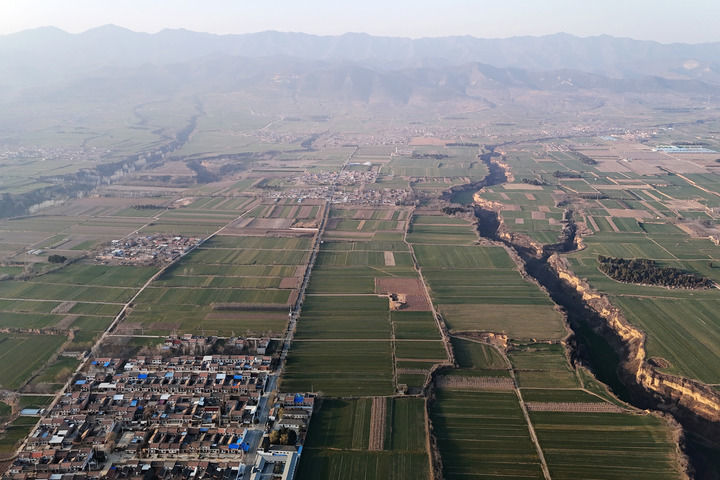 陜西寶雞周原遺址(2025年2月25日攝,無人機照片)。新華社記者李一博攝