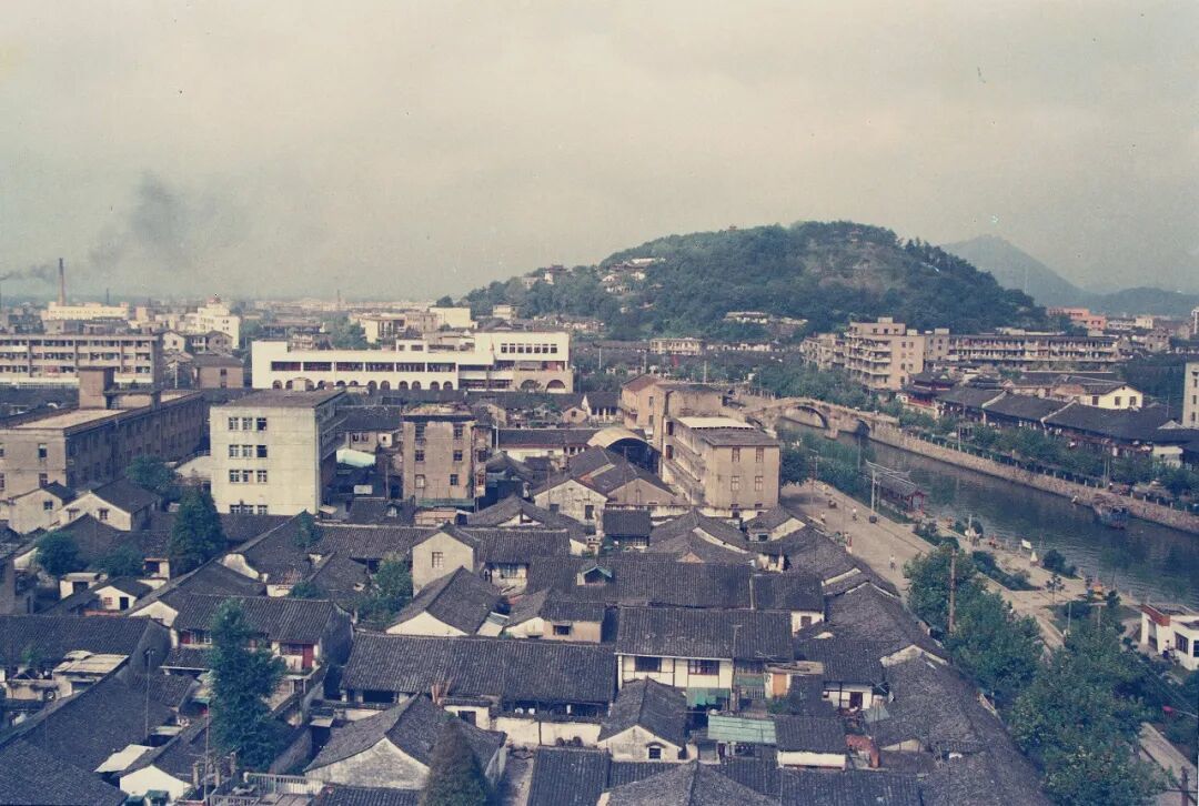 砥砺40年 奋进新征程｜四秩芳华织锦绣 满城青绿入画来