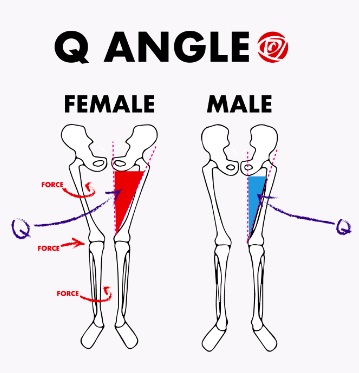 ▲图片来源：网络