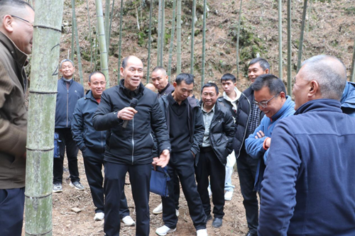 杨国松专家现场授课