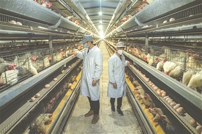 江西贵溪：返乡青年创办智能化养殖场助力乡村振兴