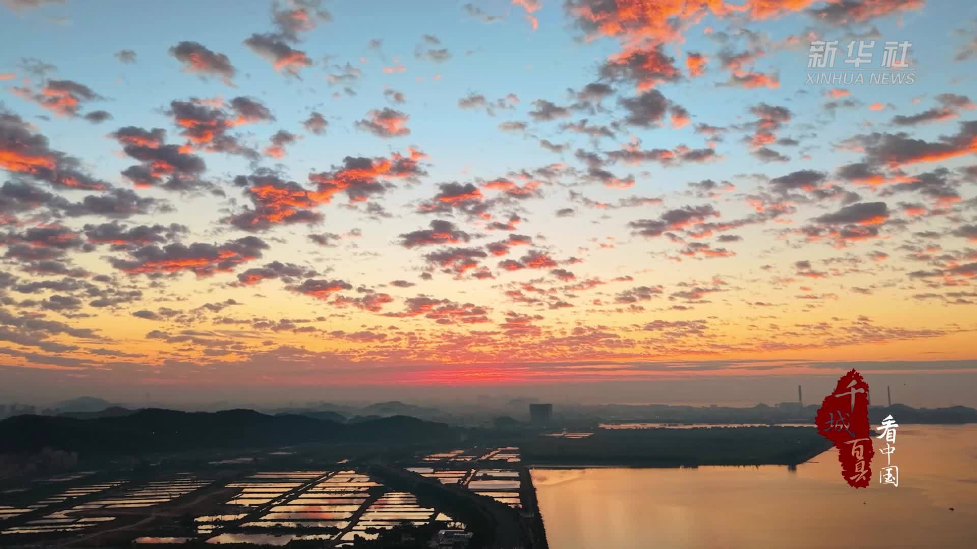 千城百县看中国丨广东虎门：今朝逢大雪 冬深花照灼