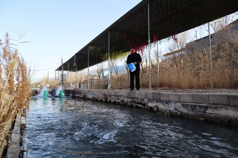 虾兵蟹将游出戈壁滩　甘肃临泽玩转“殖”富高端局