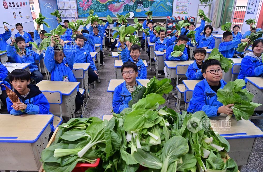 2025年12月10日，江西省宜春市万载县康乐实验学校的学生们在“月度劳动能手”颁奖仪式上展示获得的蔬菜奖励，让学生体会劳动的光荣。