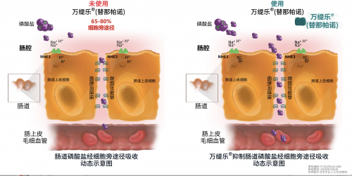 盐酸凯普拉生片（倍稳®）成功续约且新增幽门螺杆菌根除适应症纳入医保