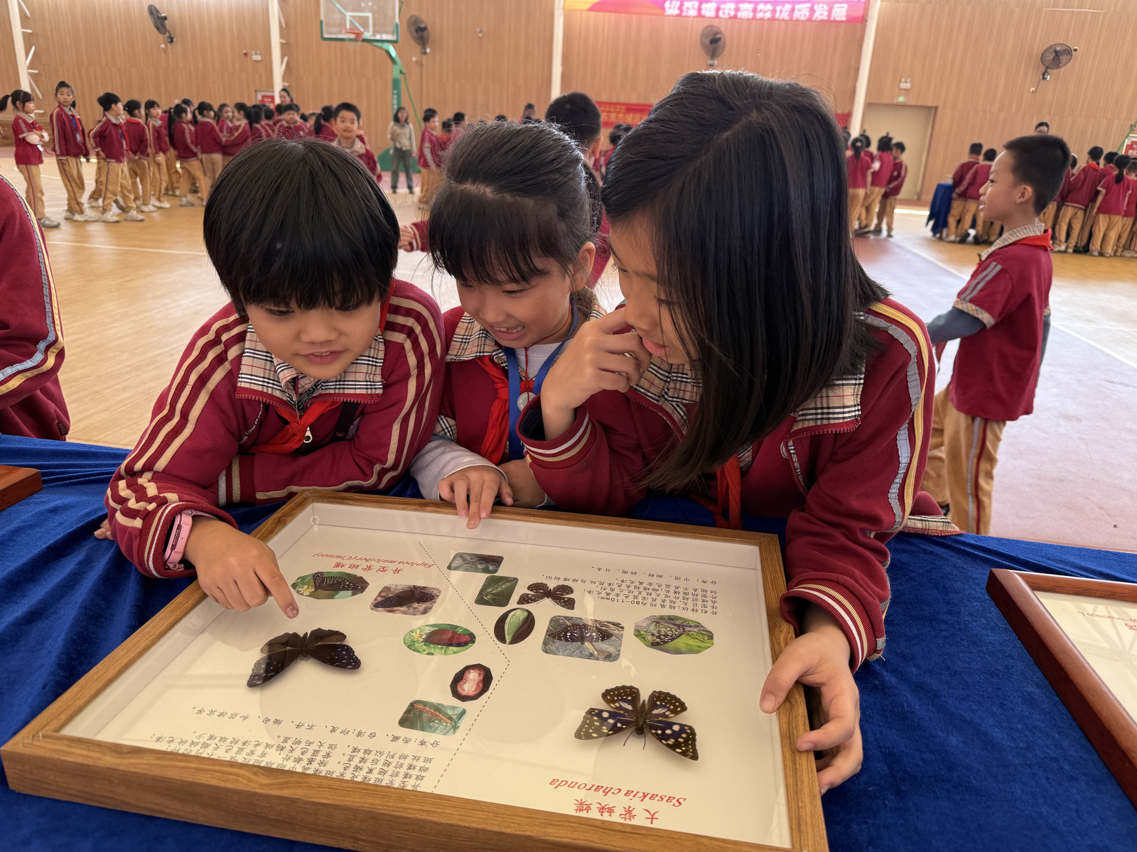 完美收官!东莞城区片区青少年科学调查体验活动走进东莞市东城中坚实验学校