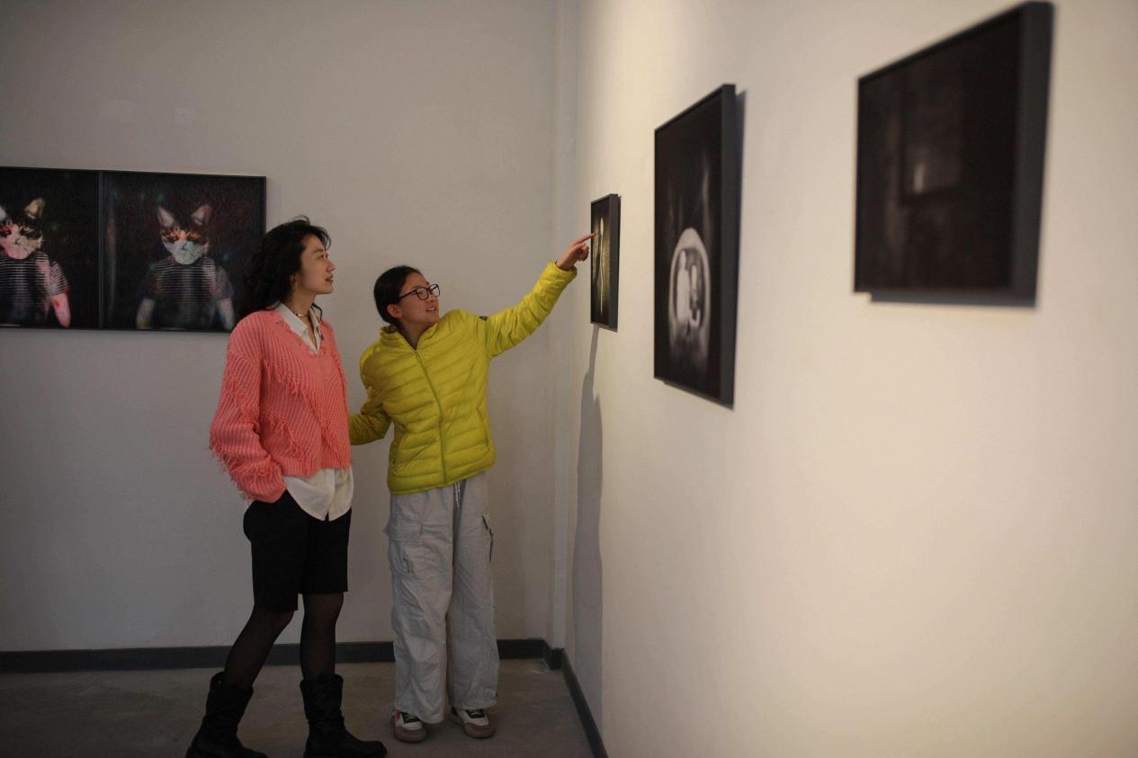 跨越时空的光影盛宴，致敬经典与先锋探索的答卷