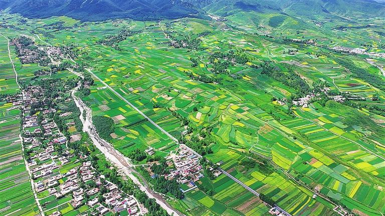 定西中药材标准化种植基地