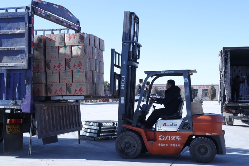 甘肃临泽企业按下加速键 冲刺全年目标要趁“枣”