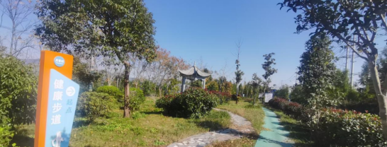 盐城市亭湖区南洋镇：人居环境整治让乡村增“颜”提“质”