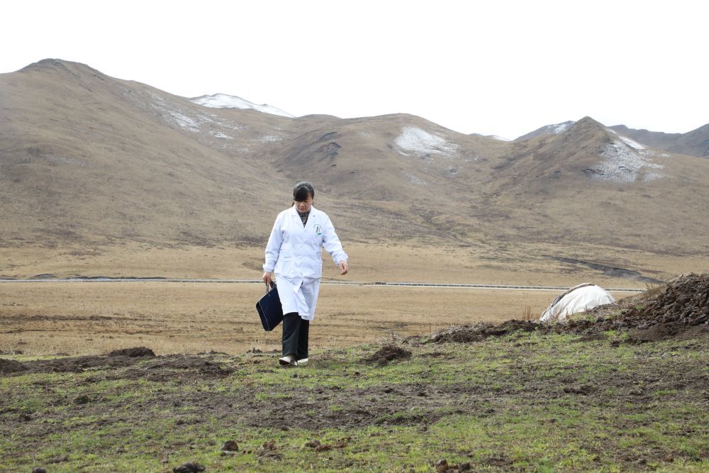 10月29日，王蒋艳在牧区巡诊路上。新华社记者　梁军　摄