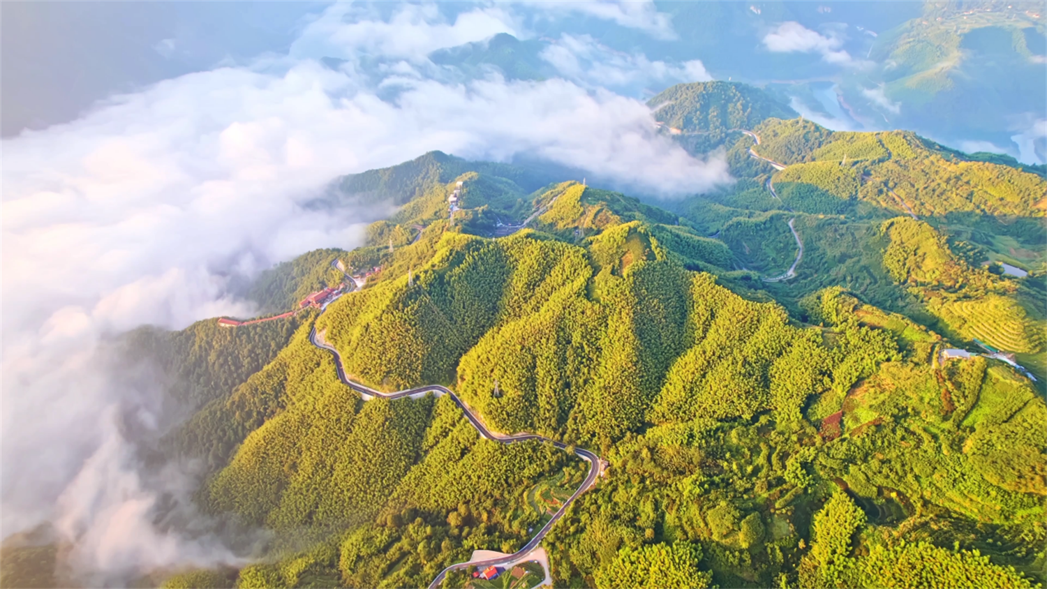 绿满四明映三江，“两山”实践绘就共富篇章——宁波自然资源和规划工作“两山”理念20年综述