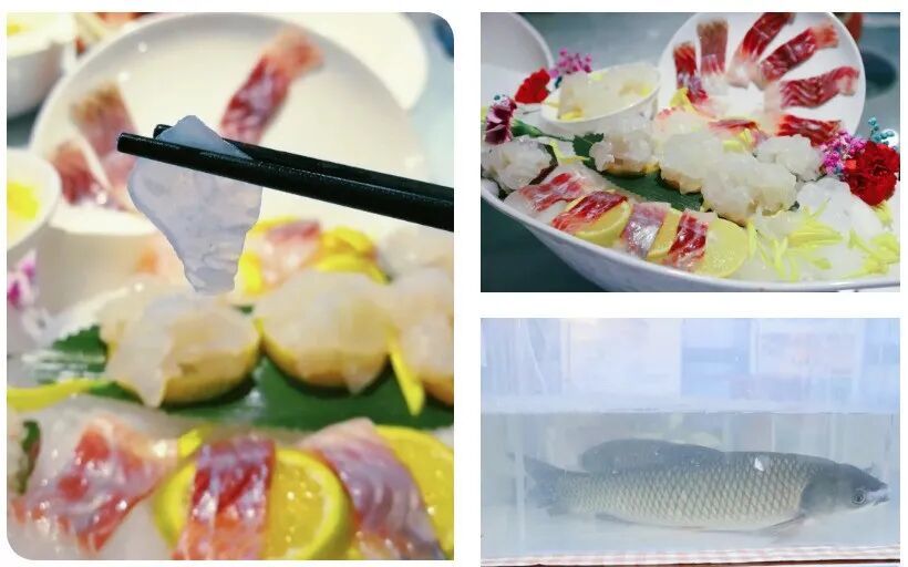 聚焦氢医学新赛道！健康南海再迎重磅“牵手”