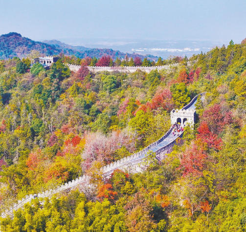 南昌:层林叠彩(图)