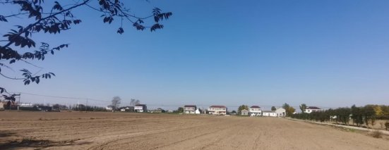 盐城市亭湖区南洋镇：人居环境整治让乡村增“颜”提“质”