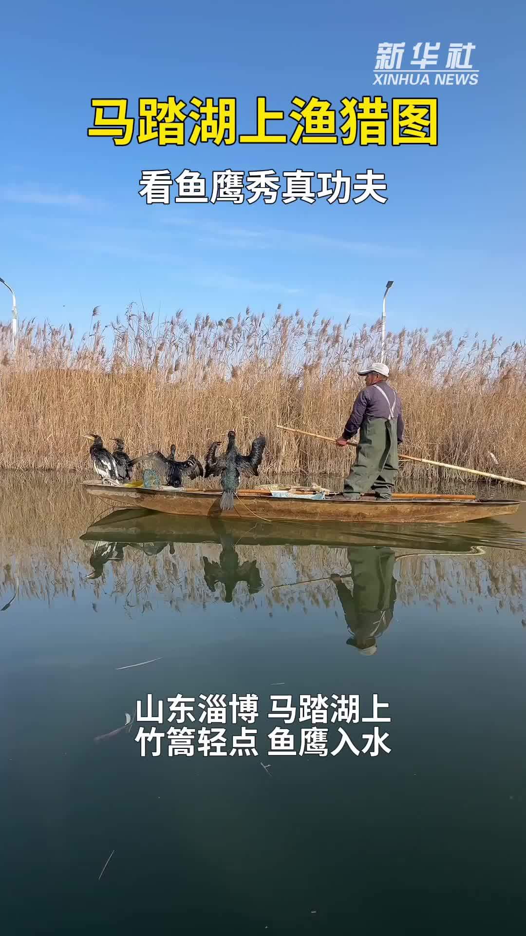 秀我中国｜马踏湖上渔猎图：看鱼鹰秀真功夫