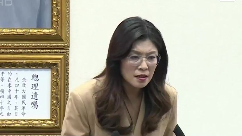 郑丽文痛批亲绿媒体造谣